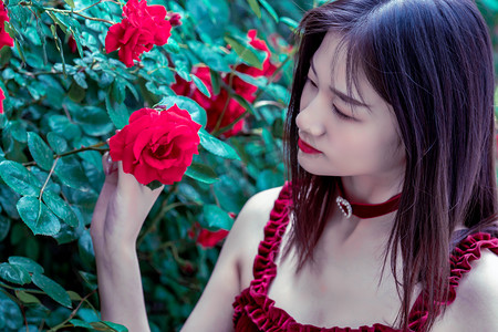 宁夏银川夏收开镰“丰”景如画